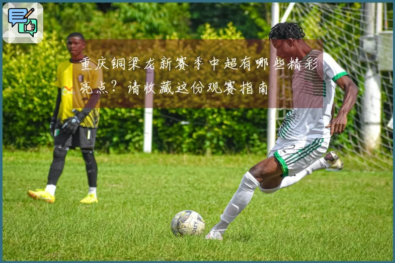 重庆铜梁龙新赛季中超有哪些精彩亮点？请收藏这份观赛指南