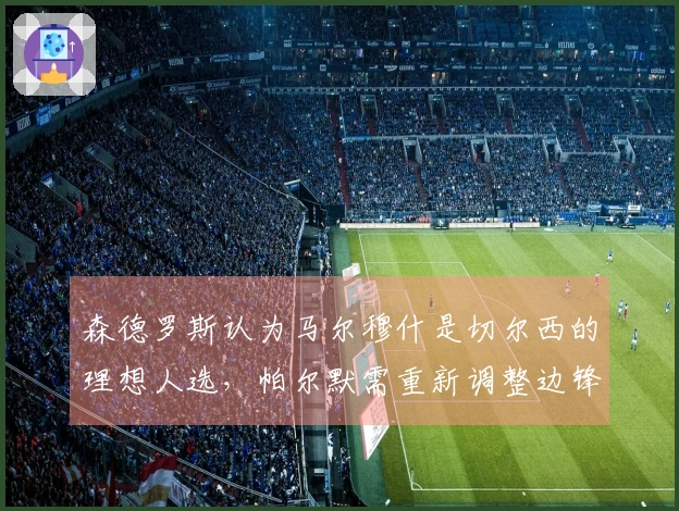 森德罗斯认为马尔穆什是切尔西的理想人选，帕尔默需重新调整边锋风格。
