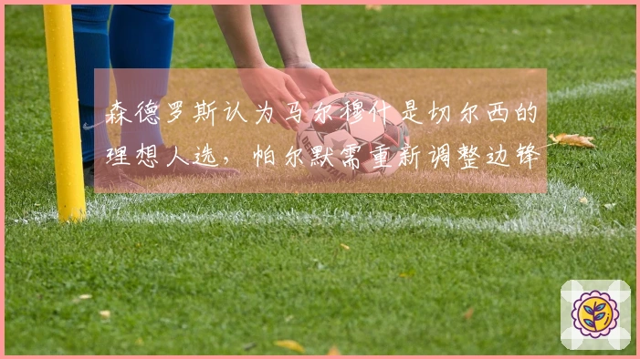 森德罗斯认为马尔穆什是切尔西的理想人选，帕尔默需重新调整边锋风格。