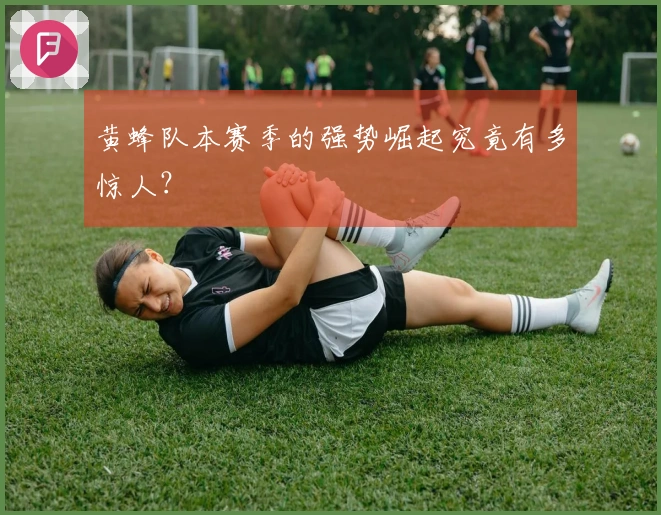 黄蜂队本赛季的强势崛起究竟有多惊人？